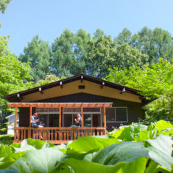 外観:前方の広い野原には、フキの葉が生い茂ります。